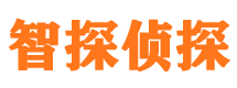 沙坪坝寻人公司